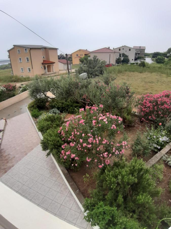 Apartments Zoran Povljana Exterior foto