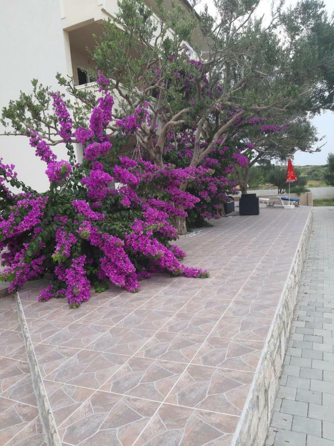 Apartments Zoran Povljana Exterior foto